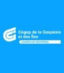 CEGEP in Canada for International Students